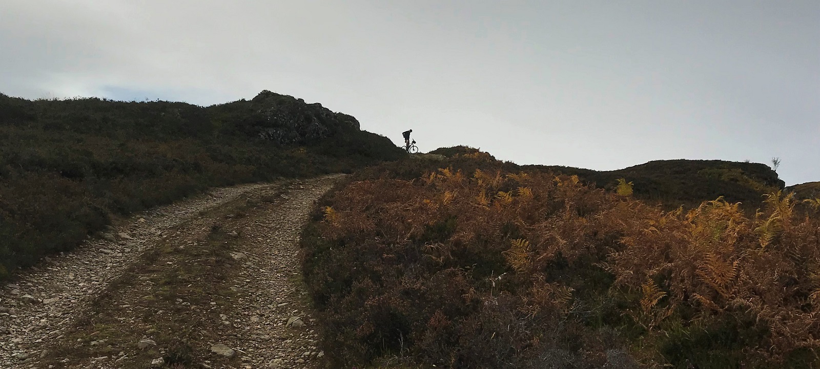 Cycling Scotland - redspokes
